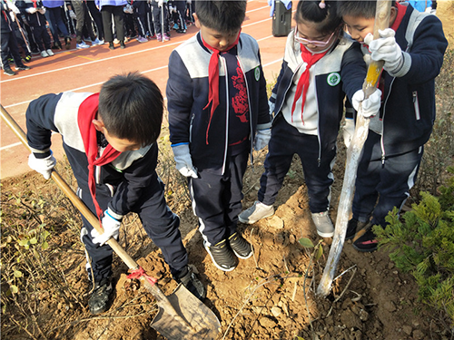 樹(shù)恩小學(xué)生參加植樹(shù)活動(dòng)